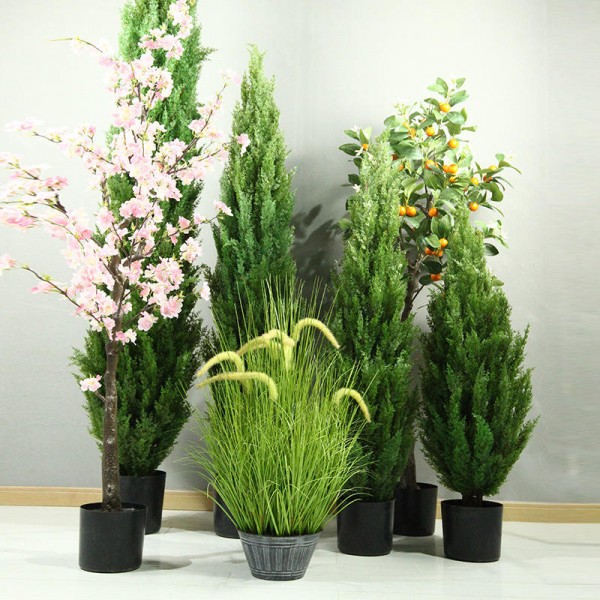 Hot Sale Home Furnishings Indoor and Outdoor Artificial Green Plants, Bonsai Pine Trees, Christmas Trees