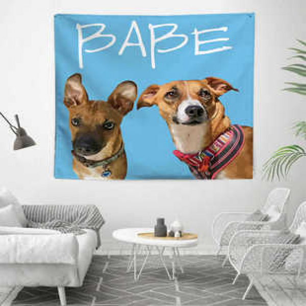 Foreign trade tapestries, cute animals, cats and dogs, internet celebrities, decorative fabrics, wall blankets, beach towels, tapestries, minimalist, internet celebrities