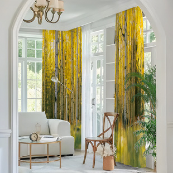 2PCS Flower Character Curtain Factory OEM 3D Digital Printing Cross border Amazon Curtain Hot Selling Pattern