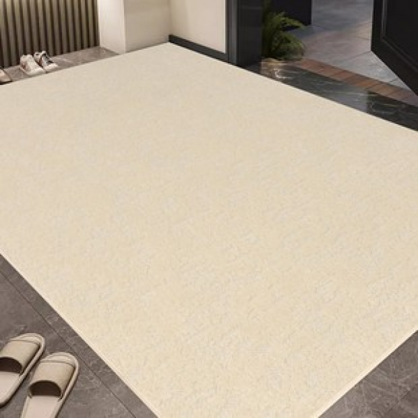 Solid color household anti slip carpet, dirt resistant square living room, bedroom bedside carpet, entrance door floor mat, PTE foot mat upgrade
