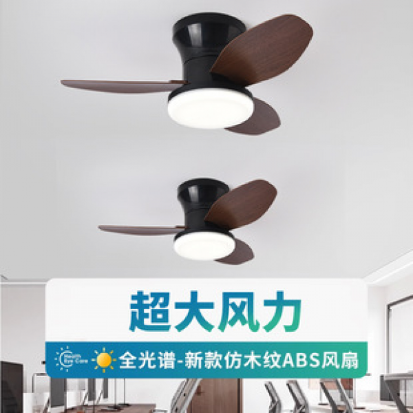 Cross border fan pendant light, simple Nordic restaurant light, electric fan light, American standard, European standard, Japanese standard, factory direct sales, in stock