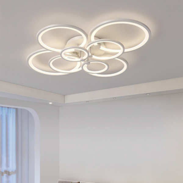 Lighting fixtures, LED ceiling lights, creative, warm and romantic Nordic room lights, simple and modern flower shaped master bedroom lighting fixtures