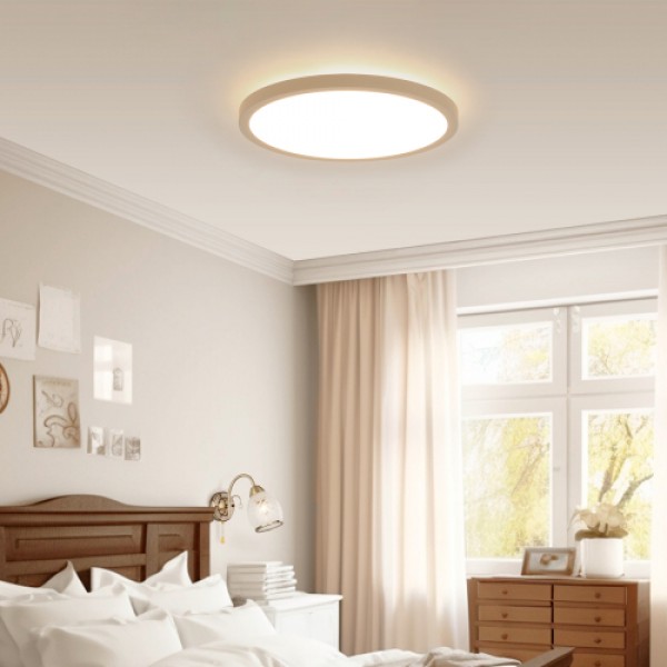 11.8 Inch Flush Mount Ceiling Light, 20W LED+Nightlight Ceiling Light Fixture for Kitchen Bedroom Living Room