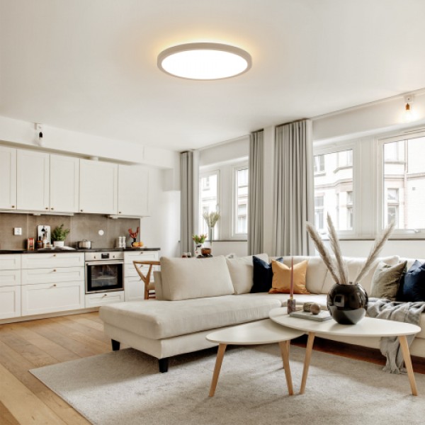 11.8 Inch Flush Mount Ceiling Light, 20W LED+Nightlight Ceiling Light Fixture for Kitchen Bedroom Living Room