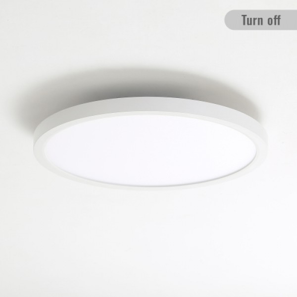 11.8 Inch Flush Mount Ceiling Light, 20W LED+Nightlight Ceiling Light Fixture for Kitchen Bedroom Living Room